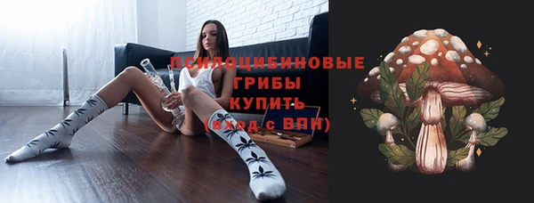 шишки Алексеевка