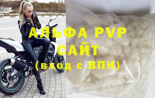 индика Алексин