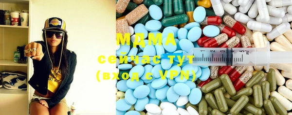 индика Алексин