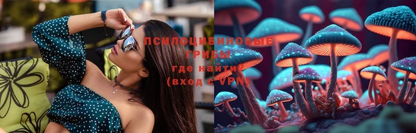 индика Алексин