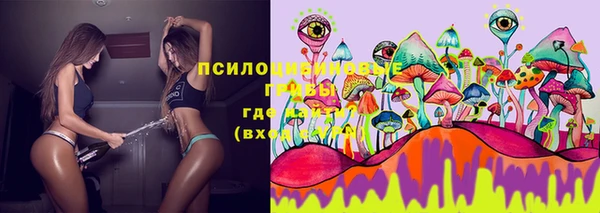 кокс Алзамай