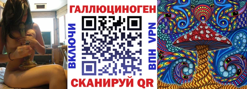 Псилоцибиновые грибы Psilocybe  купить наркотик  Аткарск 